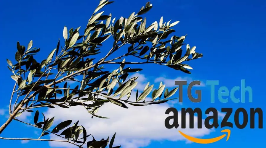 Domenica delle palme: le migliori offerte tech su Amazon